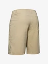 Short pour homme Under Armour  Storm Fish Hunter Storm Short-BRN