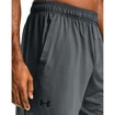 Short pour homme Under Armour  Train Stretch Shorts gray