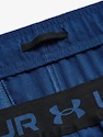 Short pour homme Under Armour  Vanish Woven 6in Shorts-BLU