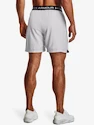 Short pour homme Under Armour  Vanish Woven 6in Shorts-GRY