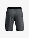 Short pour homme Under Armour  Vanish Woven 8in Shorts-GRY