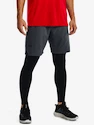 Short pour homme Under Armour  Vanish Woven 8in Shorts-GRY