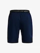 Short pour homme Under Armour  Vanish Woven 8in Shorts-NVY