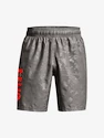 Short pour homme Under Armour  Woven Emboss Shorts-GRY