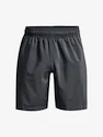 Short pour homme Under Armour  Woven Graphic Shorts-GRY