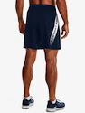 Short pour homme Under Armour  Woven Graphic Shorts-NVY