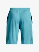 Shorts pour garçon Under Armour  Prototype 2.0 Logo Shorts-BLU