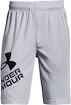 Shorts pour garçon Under Armour  Prototype 2.0 Logo Shorts gray M