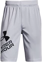 Shorts pour garçon Under Armour  Prototype 2.0 Logo Shorts gray M