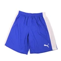 Survêtement pour homme Puma  Play Kit Blue