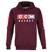 Sweat-shirt pour enfant CCM Vintage Fall Hoodie Acai