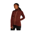 Sweat-shirt pour femme Icebreaker Merino 260 Quantum IV LS Zip Port/Cedar Wood