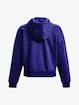 Sweat-shirt pour femme Under Armour  Essential Script Hoodie-BLU