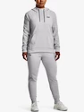 Sweat-shirt pour femme Under Armour  Fleece LC Hoodie-GRY