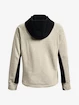 Sweat-shirt pour femme Under Armour  Rival + FZ Hoodie-BRN