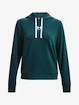 Sweat-shirt pour femme Under Armour  Rival Terry Hoodie-GRN