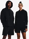 Sweat-shirt pour femme Under Armour  Summit Knit Hoodie-BLK