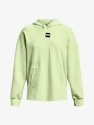 Sweat-shirt pour femme Under Armour  Summit Knit Hoodie-GRN