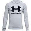 Sweat-shirt pour garçon Under Armour  Rival Fleece Hoodie light grey