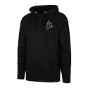 Sweat-shirt pour homme 47 Brand  NHL Arizona Coyotes Imprint Backer 47 BURNSIDE Hood