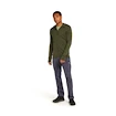 Sweat-shirt pour homme Icebreaker Merino 260 Quantum IV LS Zip Hoodie Loden