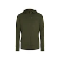 Sweat-shirt pour homme Icebreaker Merino 260 Quantum IV LS Zip Hoodie Loden