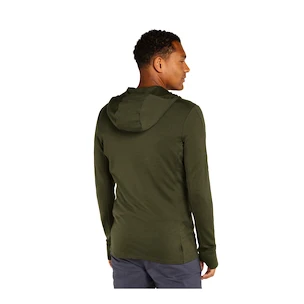 Sweat-shirt pour homme Icebreaker Merino 260 Quantum IV LS Zip Hoodie Loden