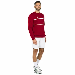 Sweat-shirt pour homme Tecnifibre  Club Sweater Cardinal