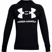 Sweat-shirt pour homme Under Armour  Rival Fleece Big Logo HD-BLK