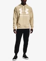 Sweat-shirt pour homme Under Armour  Rival Fleece Big Logo HD-BRN