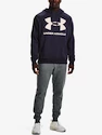 Sweat-shirt pour homme Under Armour  Rival Fleece Big Logo HD-GRY