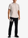 Sweat-shirt pour homme Under Armour  Rival Terry LC SS HD-WHT