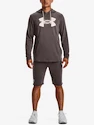 Sweat-shirt pour homme Under Armour  Rival Terry Logo Hoodie-BRN