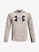 Sweat-shirt pour homme Under Armour  Rival Terry Logo Hoodie-WHT