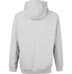 Sweat-shirt pour homme Virtus  Oralie Hoody grey