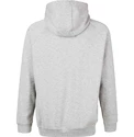 Sweat-shirt pour homme Virtus  Oralie Hoody grey