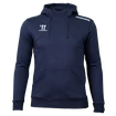 Sweat-shirt pour homme Warrior Alpha X Aspire Hoody