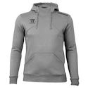 Sweat-shirt pour homme Warrior Alpha X Aspire Hoody Gray