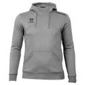 Sweat-shirt pour homme Warrior Alpha X Aspire Hoody Gray 3XL