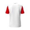 T-shirt pour enfant Head  CLUB 25 Tech T-Shirt Boys Red/White