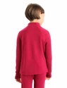 T-shirt pour enfant Icebreaker  K 260 Tech LS Half Zip Cherry