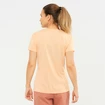 T-shirt pour femme Salomon  Agile SS Tee W Almond