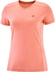 T-shirt pour femme Salomon  XA Tee W Brick Dust