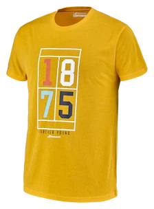 T-shirt pour homme Babolat  Exercise Vintage Tee Men Saffron Heather