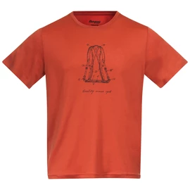 T-shirt pour homme Bergans Graphic Wool Brick