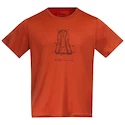 T-shirt pour homme Bergans  Graphic Wool Brick XL