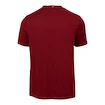 T-shirt pour homme Fila  T-Shirt Bosse Cabernet/White Alyssum