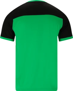 T-shirt pour homme FZ Forza  Alberti M S/S Tee Perfect Green