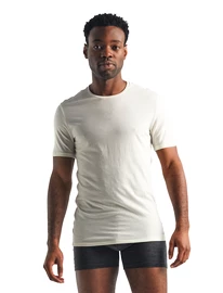 T-shirt pour homme Icebreaker Anatomica SS Crewe white