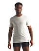 T-shirt pour homme Icebreaker  Anatomica SS Crewe white XL